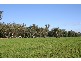 “Delmar” Lachlan Valley Way, Forbes NSW 2871