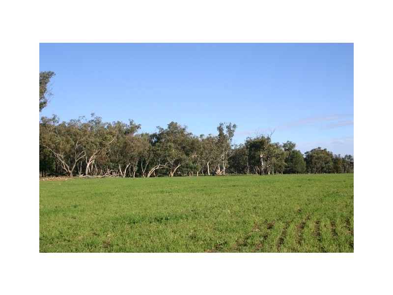 “Delmar” Lachlan Valley Way, Forbes NSW 2871