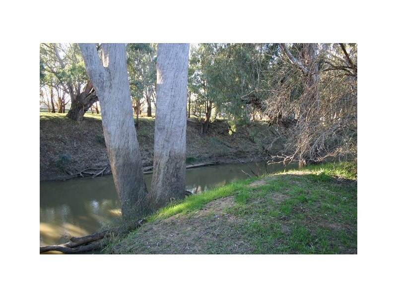 “Delmar” Lachlan Valley Way, Forbes NSW 2871