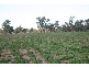 “Delmar” Lachlan Valley Way, Forbes NSW 2871