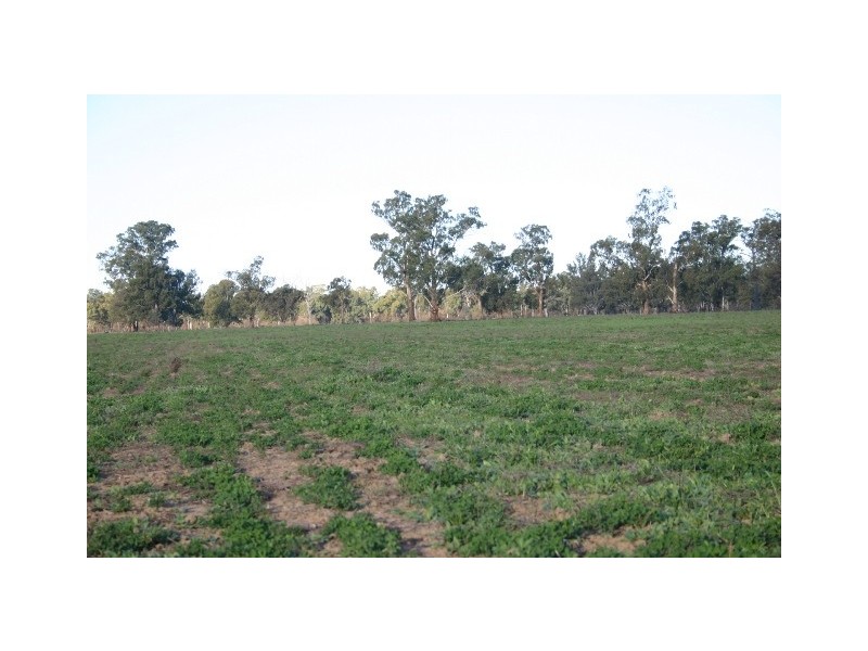 “Delmar” Lachlan Valley Way, Forbes NSW 2871