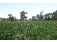 “Delmar” Lachlan Valley Way, Forbes NSW 2871
