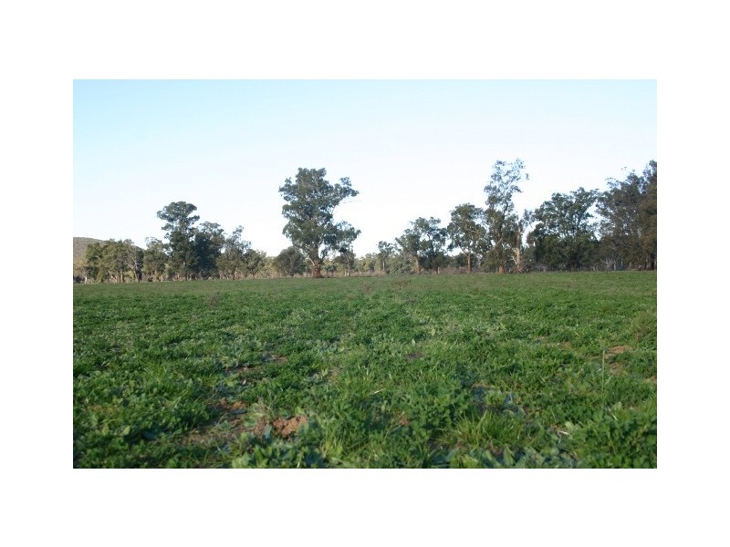 “Delmar” Lachlan Valley Way, Forbes NSW 2871