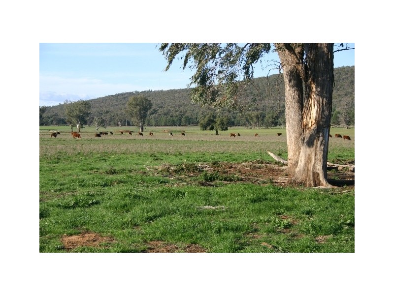 “Delmar” Lachlan Valley Way, Forbes NSW 2871