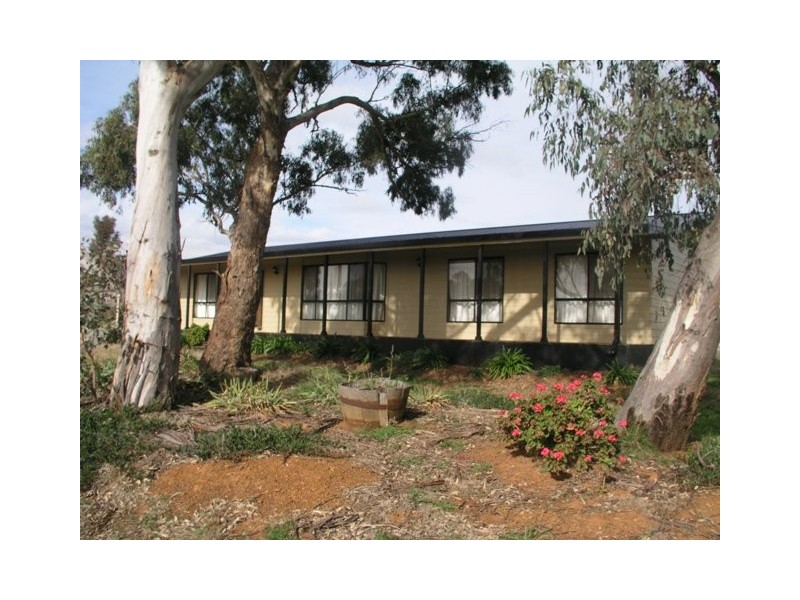 2002 Davey Plains Road, Cargo NSW 2800