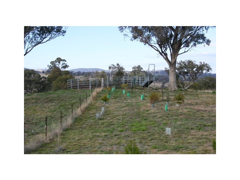 463 Mousehole Lane, Orange NSW 2800
