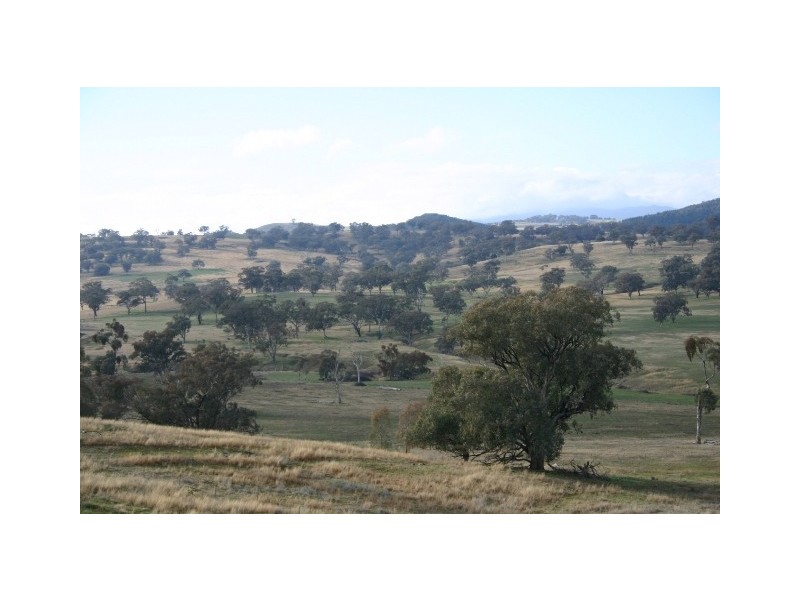 463 Mousehole Lane, Orange NSW 2800