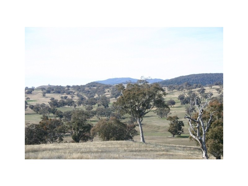 463 Mousehole Lane, Orange NSW 2800