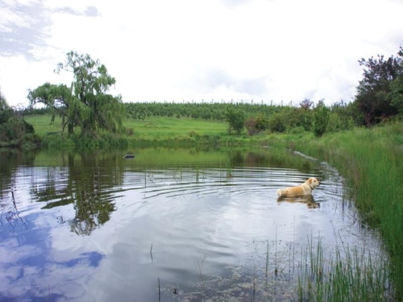 “Merlewood” Carthew Road, Orange NSW 2800