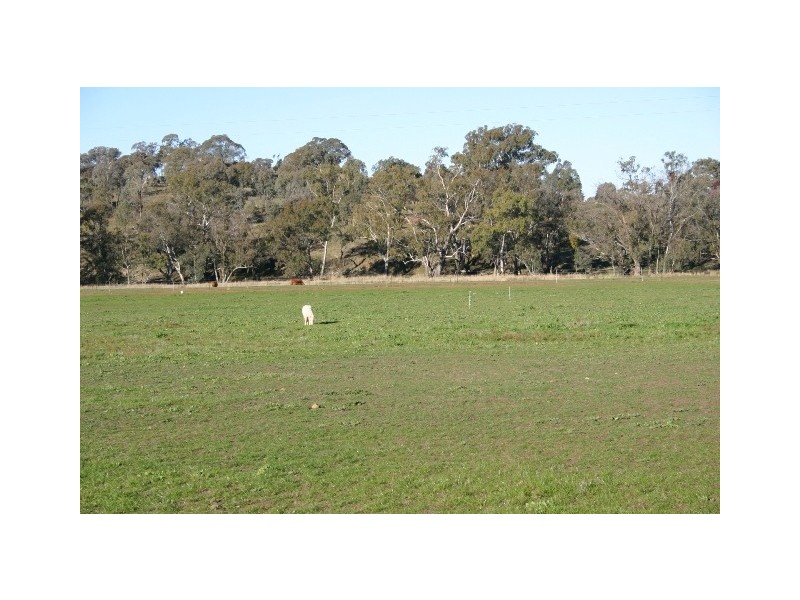 “Rosamel” Rosamel Lane, Orange NSW 2800