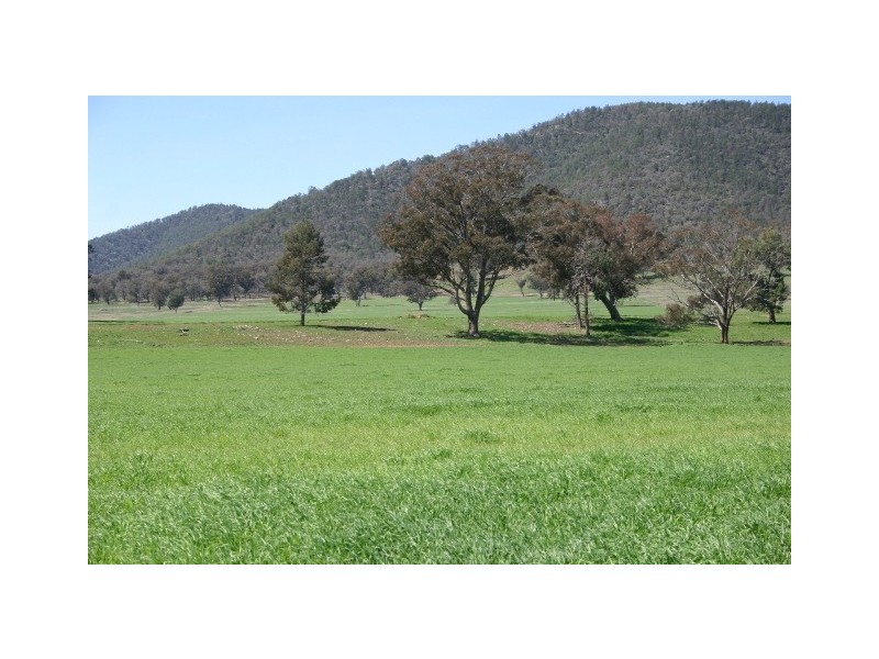 “Nangar” Escort Way, Eugowra NSW 2806