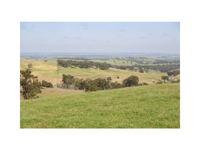 “Thirlmere” Belgravia Road, Orange NSW 2800