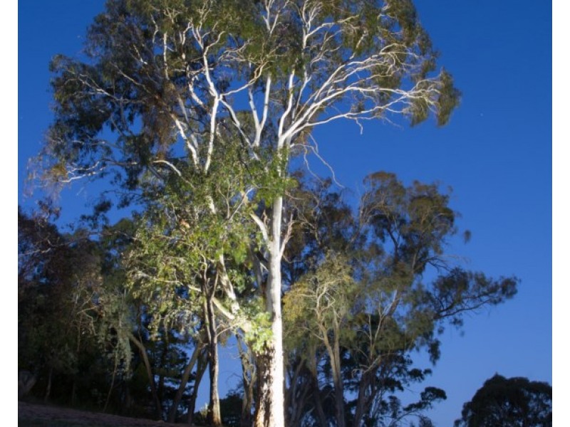 297 Giles Road, Springside NSW 2800