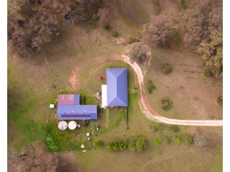 1955 Davey Plains Road, Cargo NSW 2800