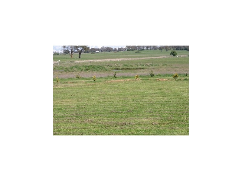 Lot 4 Forest Reefs Road, Forest Reefs NSW 2798