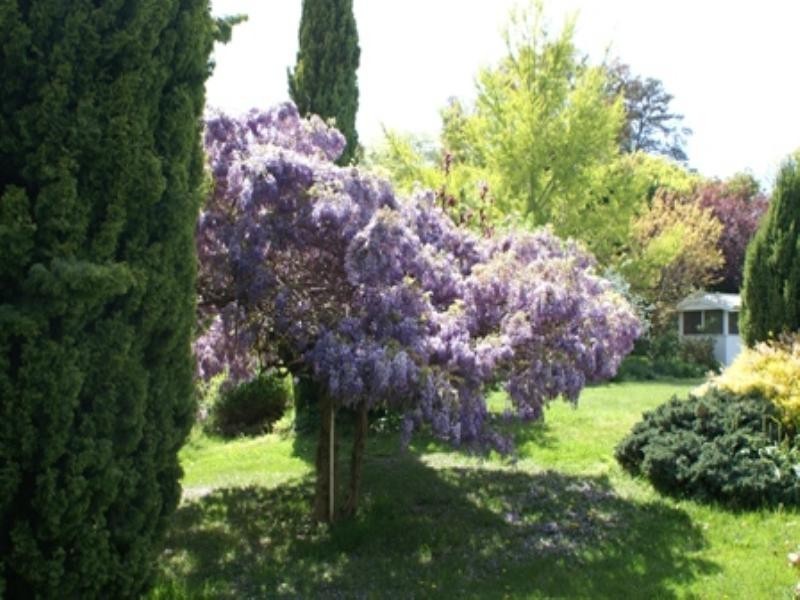 80 Forbes Road, Orange NSW 2800