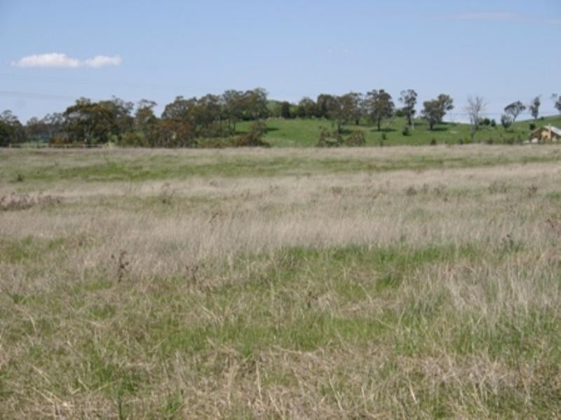 12 Priest Lane, Orange NSW 2800