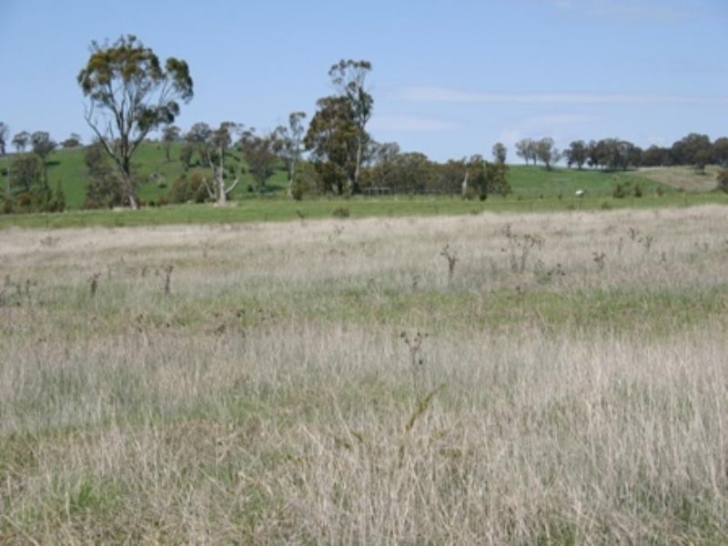 12 Priest Lane, Orange NSW 2800