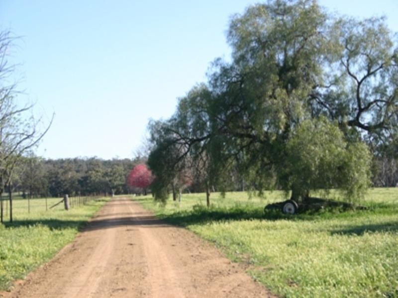 Rose Villa Eugowra Road, Canowindra NSW 2804