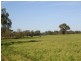 Rose Villa Eugowra Road, Canowindra NSW 2804
