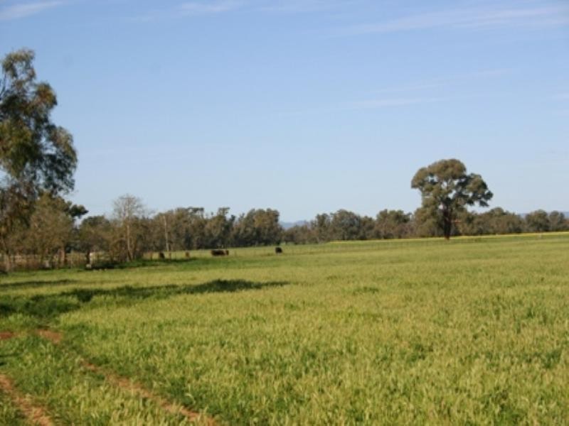 Rose Villa Eugowra Road, Canowindra NSW 2804