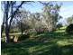 Rose Villa Eugowra Road, Canowindra NSW 2804