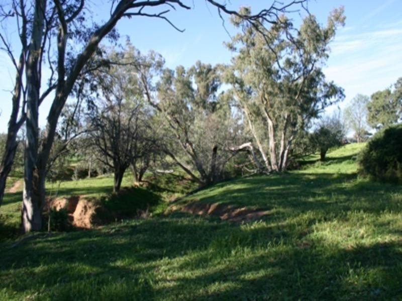 Rose Villa Eugowra Road, Canowindra NSW 2804