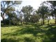 Rose Villa Eugowra Road, Canowindra NSW 2804
