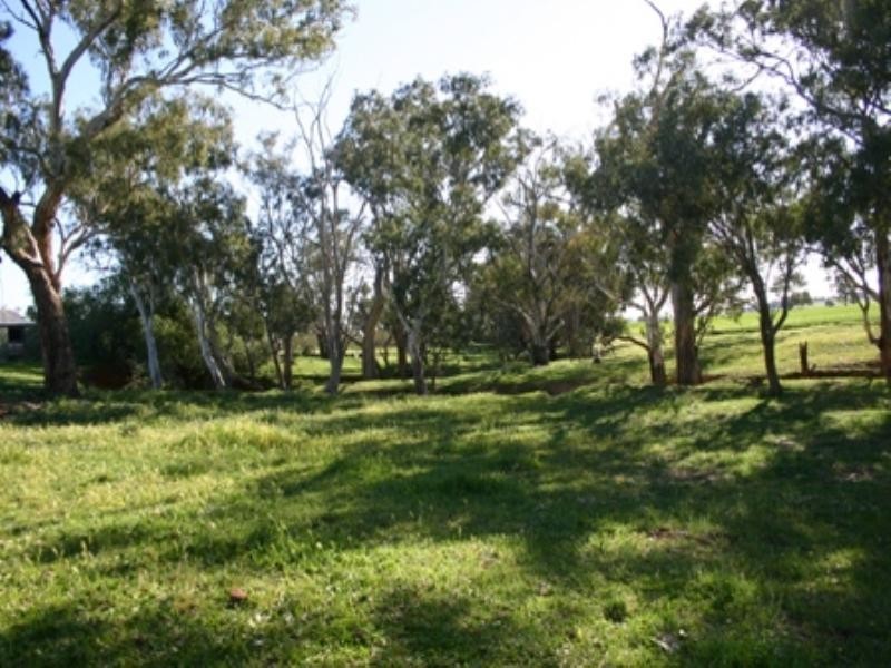 Rose Villa Eugowra Road, Canowindra NSW 2804