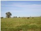 Rose Villa Eugowra Road, Canowindra NSW 2804