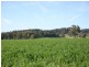 Rose Villa Eugowra Road, Canowindra NSW 2804