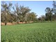 Rose Villa Eugowra Road, Canowindra NSW 2804