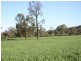 Rose Villa Eugowra Road, Canowindra NSW 2804