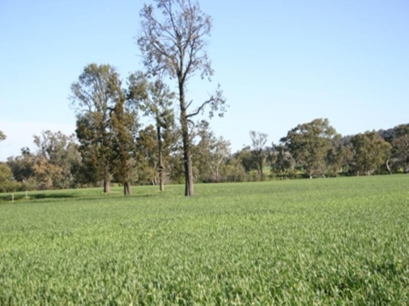 Rose Villa Eugowra Road, Canowindra NSW 2804