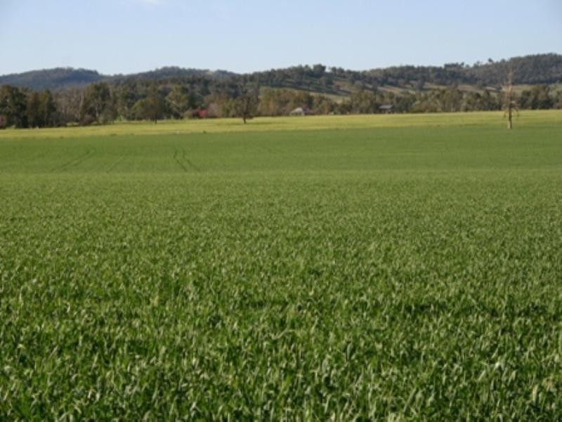 Rose Villa Eugowra Road, Canowindra NSW 2804