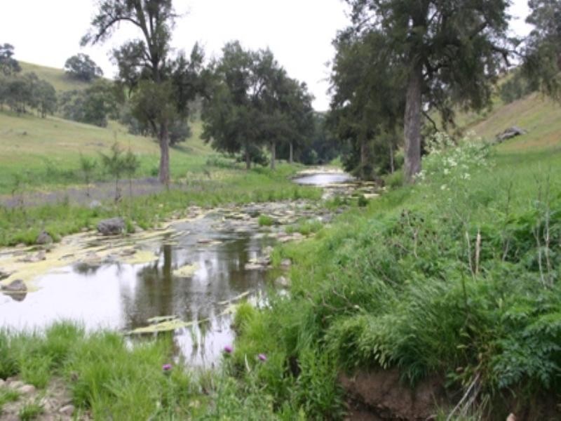 “Bellevue” Eadvale Road, Molong NSW 2866