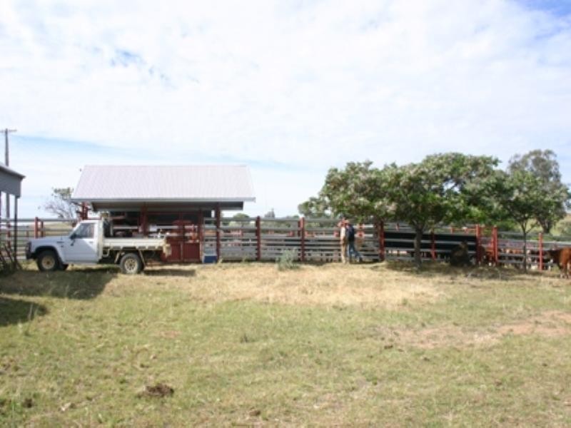 “Bellevue” Eadvale Road, Molong NSW 2866