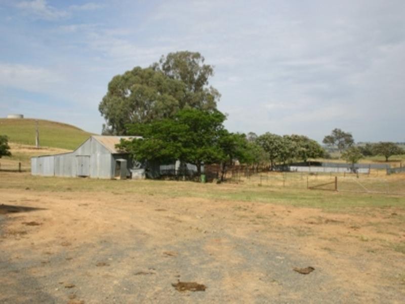 “Bellevue” Eadvale Road, Molong NSW 2866