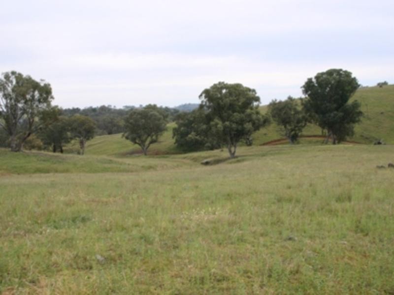 “Bellevue” Eadvale Road, Molong NSW 2866