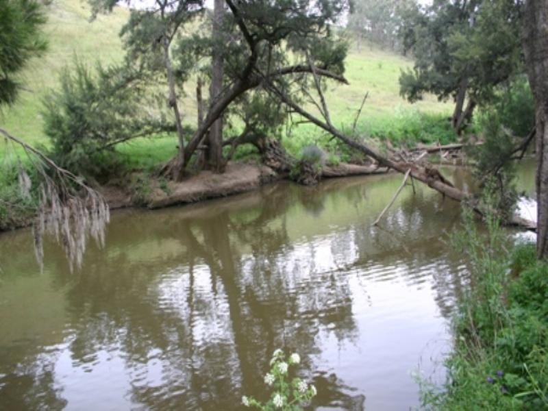 “Bellevue” Eadvale Road, Molong NSW 2866