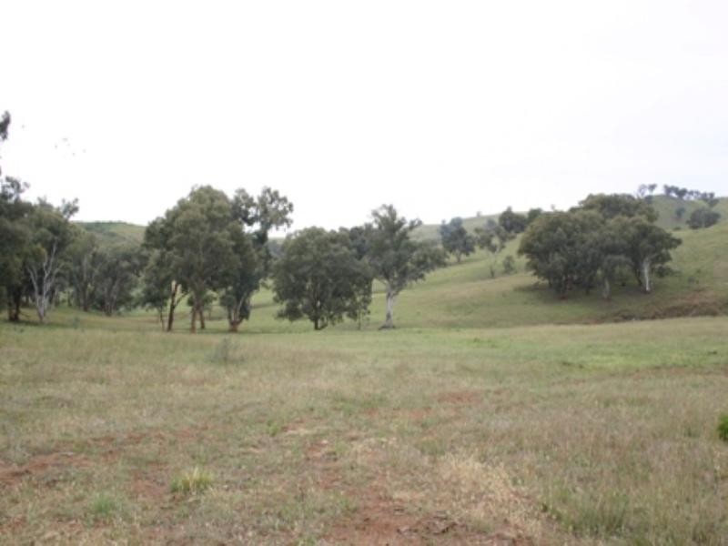 “Bellevue” Eadvale Road, Molong NSW 2866