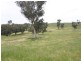 “Bellevue” Eadvale Road, Molong NSW 2866