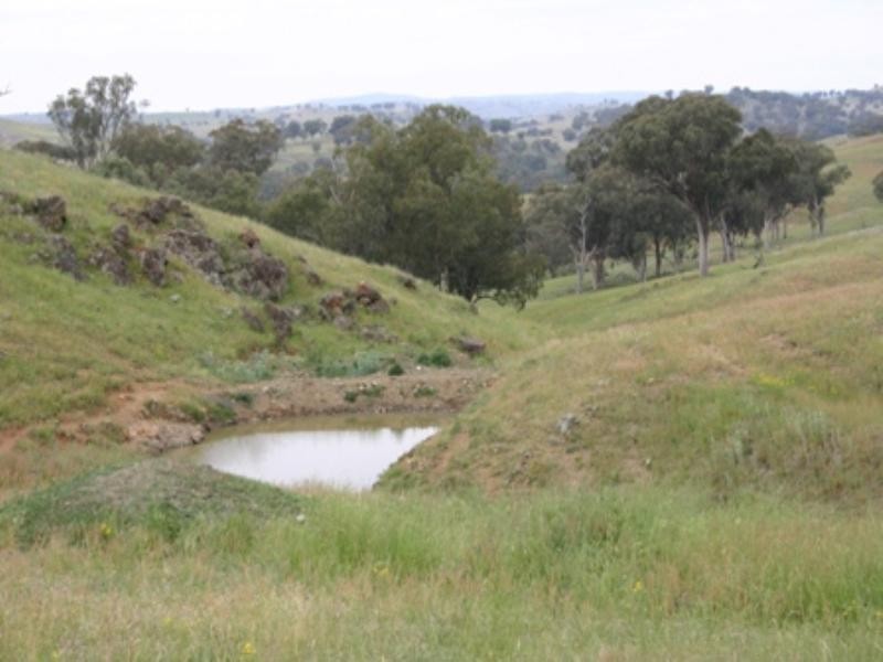 “Bellevue” Eadvale Road, Molong NSW 2866
