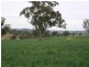 “Bellevue” Eadvale Road, Molong NSW 2866