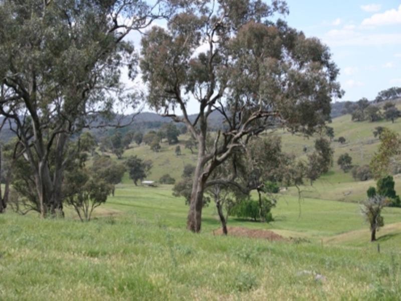 Thirlemere 392 Kent Road, Mullion Creek NSW 2800