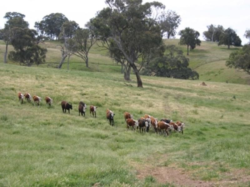 Thirlemere 392 Kent Road, Mullion Creek NSW 2800