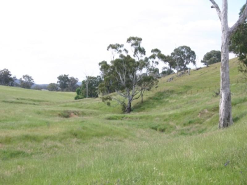 Thirlemere 392 Kent Road, Mullion Creek NSW 2800