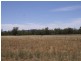 “Benamere” Lachlan Valley Way, Gooloogong NSW 2805
