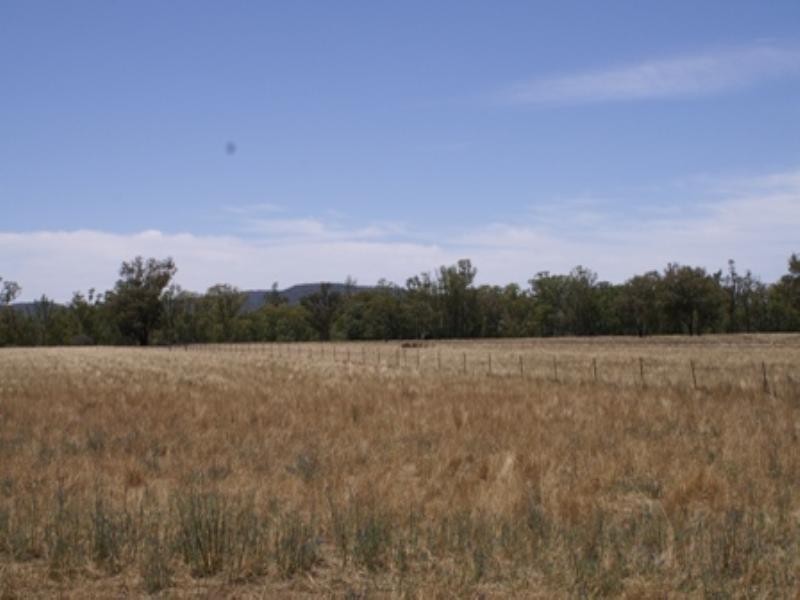 “Benamere” Lachlan Valley Way, Gooloogong NSW 2805