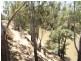 “Benamere” Lachlan Valley Way, Gooloogong NSW 2805